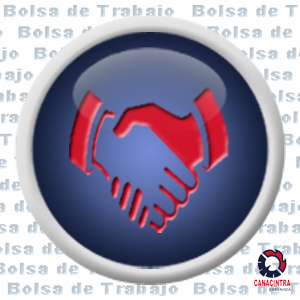 capturista de datos
