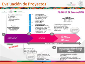 Figura 7 Evaluación de proyectos