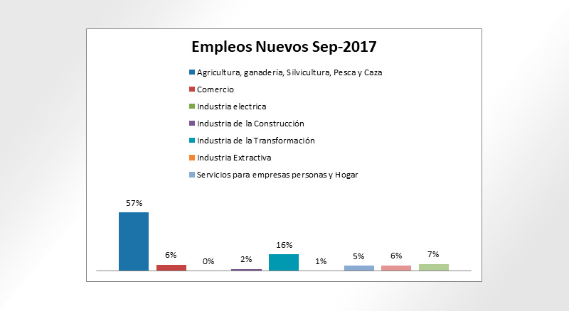 Empleos nuevos generados por sector en Ensenada.