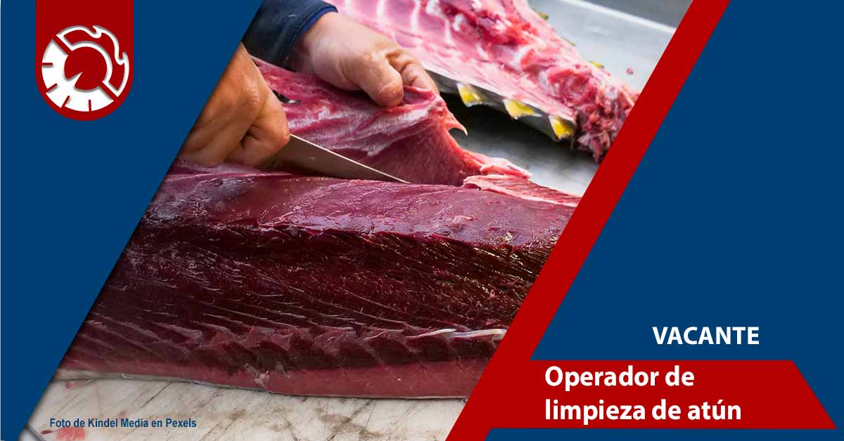 Operador de limpieza de atún