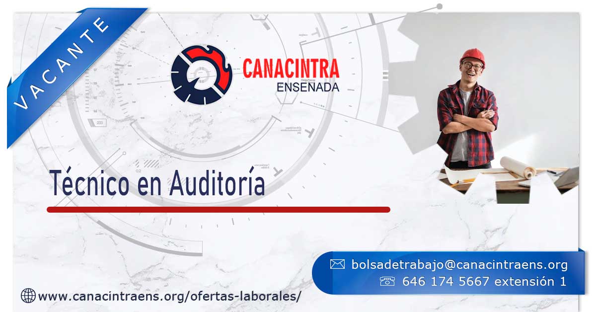 Técnico en Auditoría