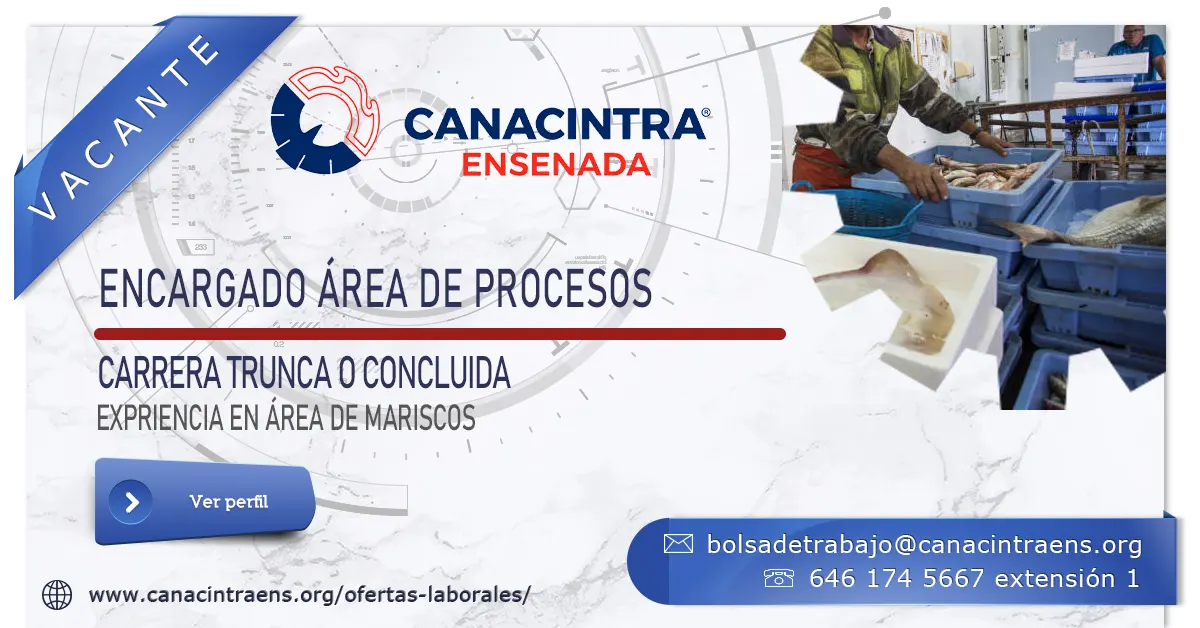 encargado-área-de-procesos