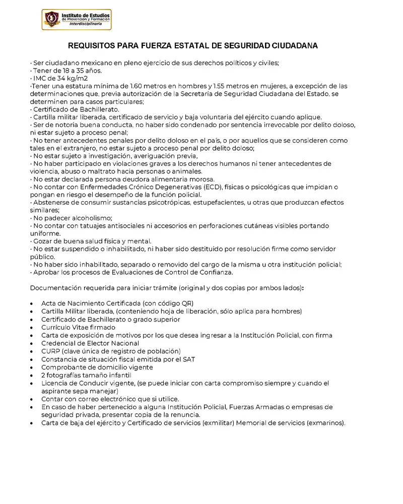 fuerza-estatal-seguridad-ciudadana