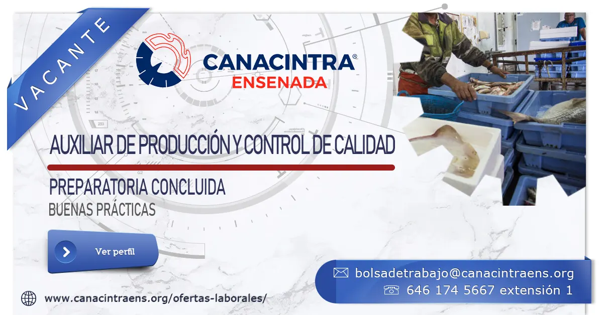 Auxiliar de producción y calidad